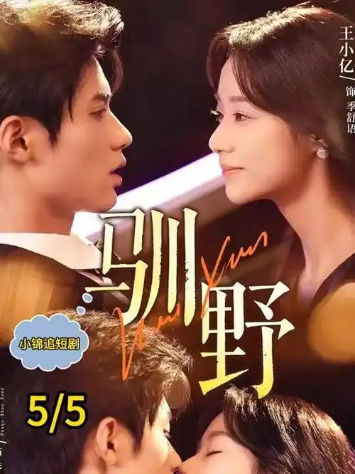 热播电视剧全集无声证词法庭剧照